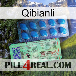 Qibianli new02